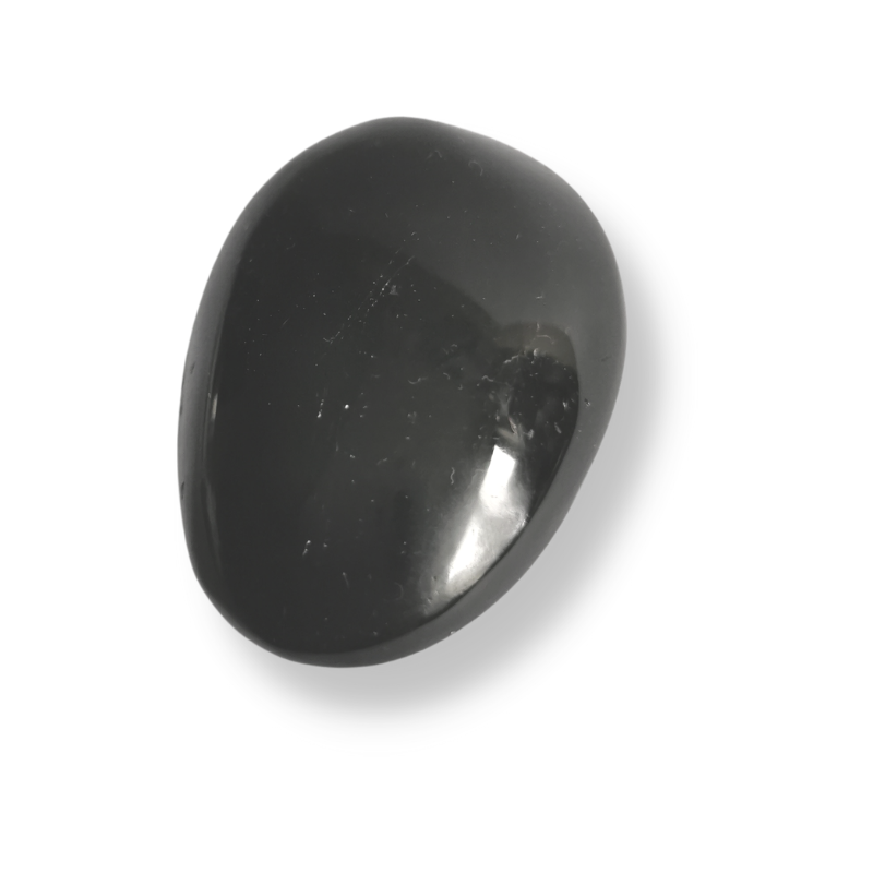 oval shaped polished Black Tourmaline palm crystal