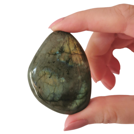 high quality polished multicoloured Labradorite palm crystal held by hand